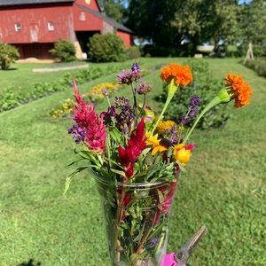 Meet your Posher, Cedar